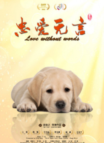 趣夜看片